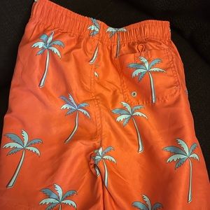 BC Surf & Sport Men’s Swim Shorts